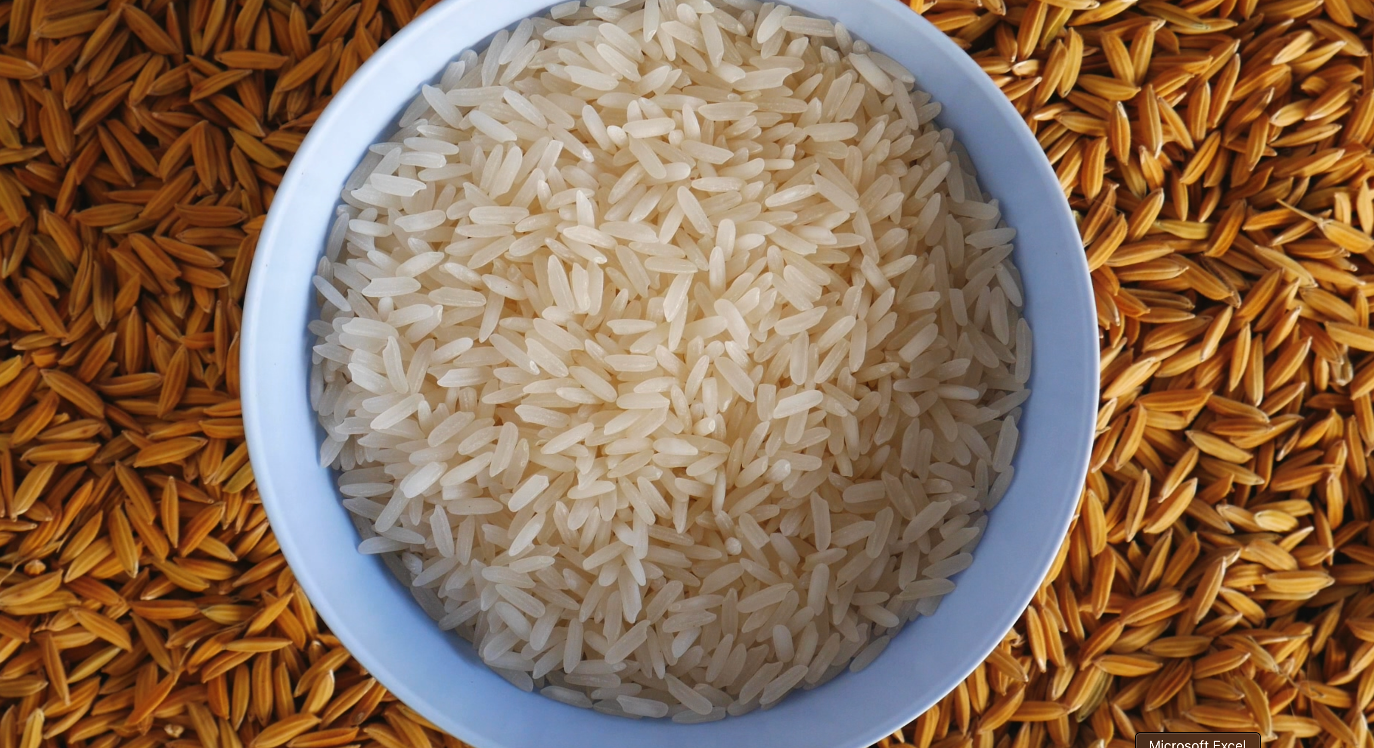 Brown or White Rice, which one is better?