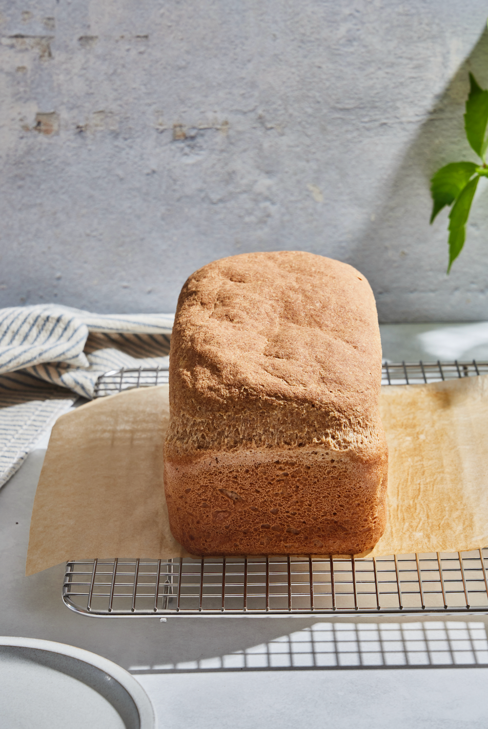 Sandwich Bread Mix